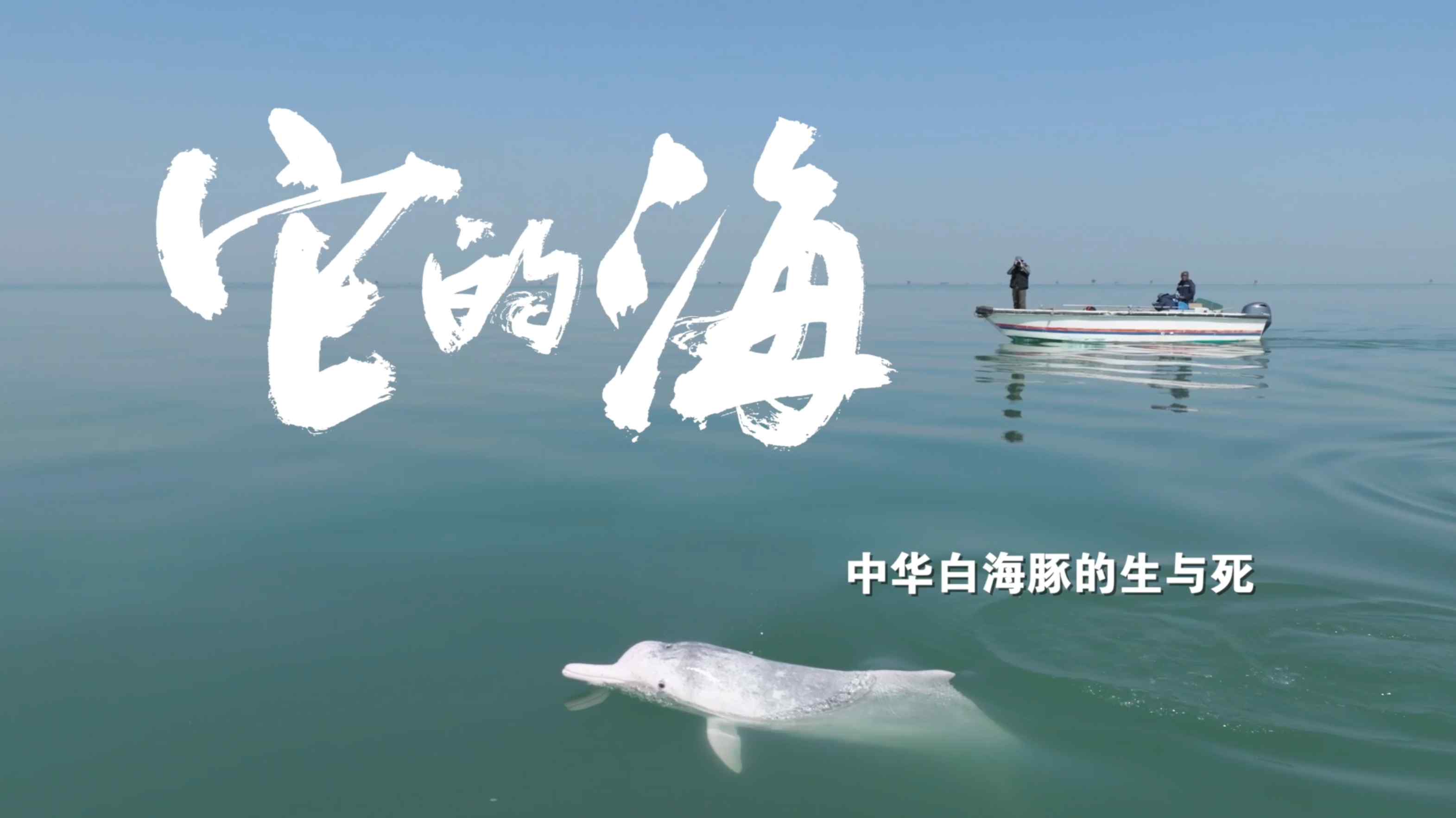 它的海